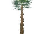 Fake Palm Trees for Sale Indoor 2 5m Artificial areca Palm Trees with 940 Leaves Artificial Palm