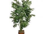 Fake Palm Trees for Sale Indoor 2 5m Artificial areca Palm Trees with 940 Leaves Artificial Palm