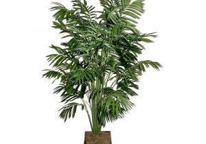 Fake Palm Trees for Sale Indoor 2 5m Artificial areca Palm Trees with 940 Leaves Artificial Palm