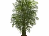 Fake Palm Trees for Sale Indoor Nearly Natural areca Palm Tree In Pot Reviews Wayfair