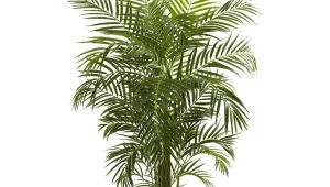 Fake Palm Trees for Sale Indoor Nearly Natural areca Uv Resistant Silk Palm Tree Products
