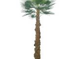 Fake Palm Trees for Sale Outdoor 2 5m Artificial areca Palm Trees with 940 Leaves Artificial Palm