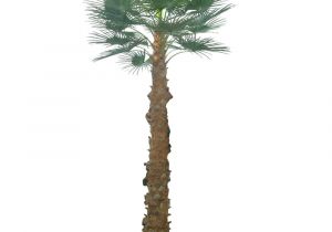 Fake Palm Trees for Sale Outdoor 2 5m Artificial areca Palm Trees with 940 Leaves Artificial Palm