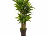 Fake Palm Trees for Sale Outdoor 5 Cornstalk Dracaena Artificial Plant In Planter Real touch In