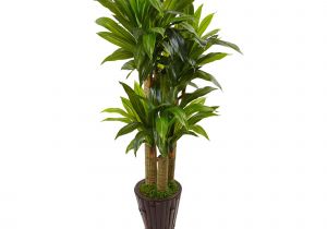 Fake Palm Trees for Sale Outdoor 5 Cornstalk Dracaena Artificial Plant In Planter Real touch In