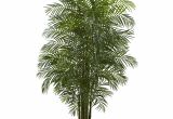 Fake Palm Trees for Sale Outdoor Nearly Natural areca Palm Tree In Pot Reviews Wayfair