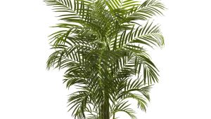 Fake Palm Trees for Sale Outdoor Nearly Natural areca Uv Resistant Silk Palm Tree Products