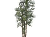 Fake Palm Trees for Sale Outdoor Robellini Palm Tree In Green Artificial Palm Trees Faux Outdoor