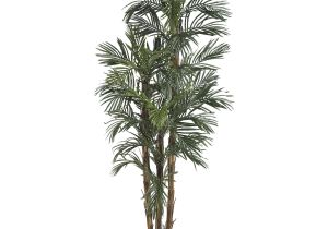 Fake Palm Trees for Sale Outdoor Robellini Palm Tree In Green Artificial Palm Trees Faux Outdoor