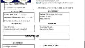 Fake Pet Shipping Companies Scamwarners Com View topic Fake Pet Shipping Companies