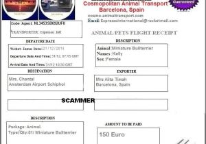 Fake Pet Shipping Companies Scamwarners Com View topic Fake Pet Shipping Companies