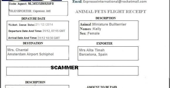 Fake Pet Shipping Companies Scamwarners Com View topic Fake Pet Shipping Companies
