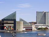 Family Activities In Baltimore Inner Harbor Essentials for Your Next Trip to Baltimore