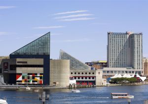 Family Activities In Baltimore Inner Harbor Essentials for Your Next Trip to Baltimore