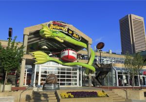 Family Activities In Baltimore This Weekend 14 Things to Do In Baltimore S Inner Harbor