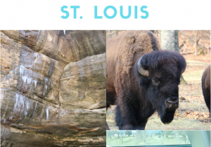 Family Things to Do In St Louis This Weekend 210 Family Friendly and Affordable Trip to St Louis and Starved