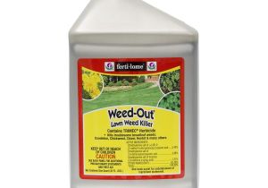 Fertilome Broadleaf Weed Control with Gallery Amazon Com Fertilome Weed Out Lawn Weed Killer with Trimec Quart