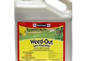 Fertilome Broadleaf Weed Control with Gallery Amazon Com Vpg Fertilome 405 He 1gal Weed Out Weed Killers