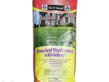 Fertilome Broadleaf Weed Control with Gallery Ferti Lome Broadleaf Weed Control with Gallery