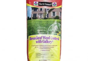 Fertilome Broadleaf Weed Control with Gallery Ferti Lome Broadleaf Weed Control with Gallery