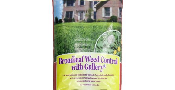 Fertilome Broadleaf Weed Control with Gallery Ferti Lome Broadleaf Weed Control with Gallery
