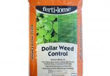 Fertilome Broadleaf Weed Control with Gallery Fertilome Dollar Weed Control