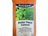 Fertilome Broadleaf Weed Control with Gallery Fertilome Dollar Weed Control