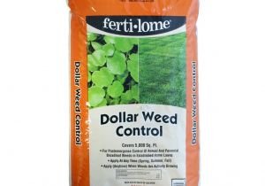 Fertilome Broadleaf Weed Control with Gallery Fertilome Dollar Weed Control