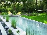 Fiberglass Pools Baton Rouge La 64 Best Piscinas Images On Pinterest Dream Pools My House and