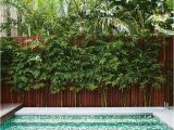 Fiberglass Pools Near Baton Rouge 1115 Best O U T D O O R S P A C E S Images On Pinterest Modern