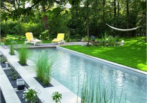 Fiberglass Pools Near Baton Rouge 64 Best Piscinas Images On Pinterest Dream Pools My House and