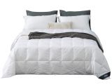 Fill Power Down Comforter Chart Amazon Com Globon White Goose Down Comforter Blanket King