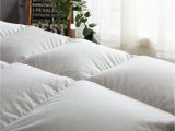 Fill Power Down Comforter Chart Amazon Com Globon Winter White Goose Down Comforter King Size