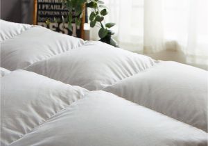 Fill Power Down Comforter Chart Amazon Com Globon Winter White Goose Down Comforter King Size