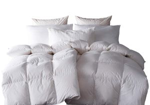 Fill Power Down Comforter Chart Amazon Com Snowman White Goose Down Feather Blend Comforter Queen