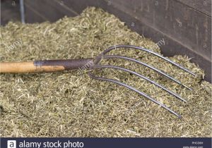 Fine Tine Stall fork Manure fork Stock Photos Manure fork Stock Images Alamy