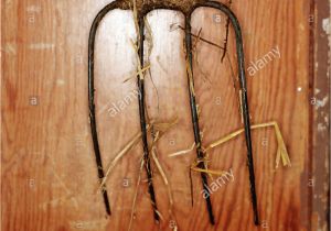 Fine Tine Stall fork Manure fork Stock Photos Manure fork Stock Images Alamy