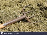 Fine Tine Stall fork Manure fork Stock Photos Manure fork Stock Images Alamy