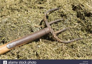 Fine Tine Stall fork Manure fork Stock Photos Manure fork Stock Images Alamy