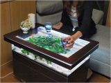 Fish Tank Coffee Table Diy 25 Best Ideas About Coffee Table Aquarium On Pinterest