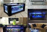 Fish Tank Coffee Table Diy Spectacular Diy Fish Tank Coffee Table Free Guide and