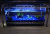 Fish Tank Coffee Table Diy Spectacular Diy Fish Tank Coffee Table Free Guide and