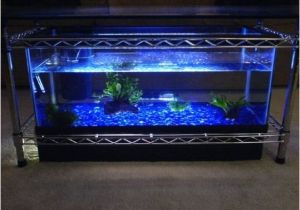 Fish Tank Coffee Table Diy Spectacular Diy Fish Tank Coffee Table Free Guide and