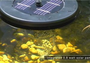 Floating solar Fountain Pump Pond Aerator Pond Boss solar Floating Pond Aerator Youtube