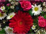 Florist Highlands Ranch Co Florist Highlands Ranch