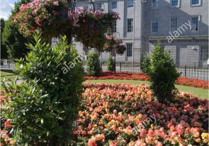 Florist In Aberdeen Nc Aberdeen Shops Stockfotos Aberdeen Shops Bilder Alamy