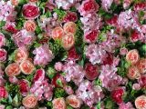 Floristerias Baratas En San Salvador Compre Flor En todo El Golfo Pared De Flores Artificiales Para El