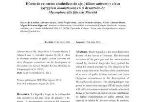 Floristerias En San Martin El Salvador Pdf Antifungal Properties Of Bioactive Compounds From Plants