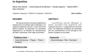 Floristerias En San Martin El Salvador Pdf Desertathrips Chuquiraga Gen Et Sp N Thysanoptera