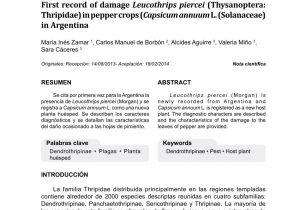 Floristerias En San Martin El Salvador Pdf Desertathrips Chuquiraga Gen Et Sp N Thysanoptera